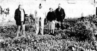Huerta comunitaria