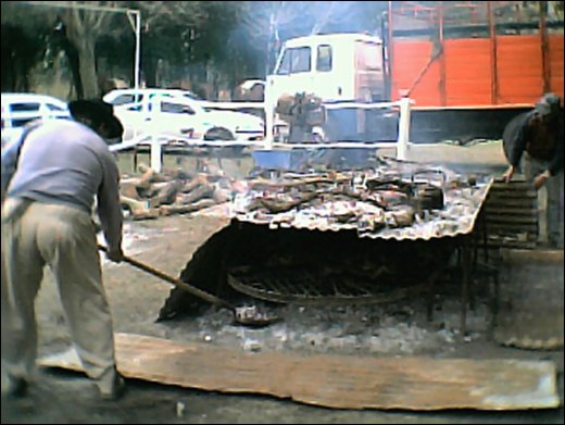 Fort&iacute;n Pace&ntilde;o
