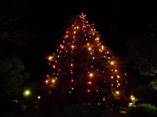 Arbol de Navidad