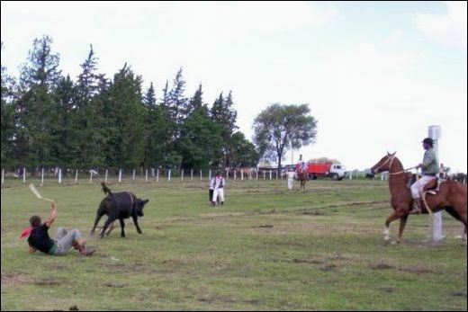 Fort&iacute;n Pace&ntilde;o