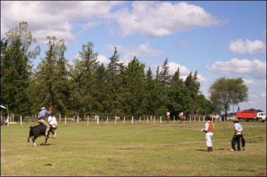 Fort&iacute;n Pace&ntilde;o