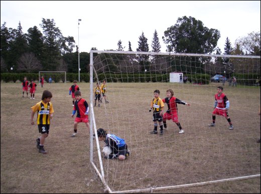 Cebollitas