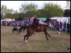 Doma en el Fort&iacute;n Pace&ntilde;o